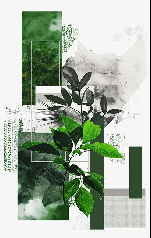Geometric Botanical Contrast – Modern Leaf Collage Canvas Print - MyPhotoStation