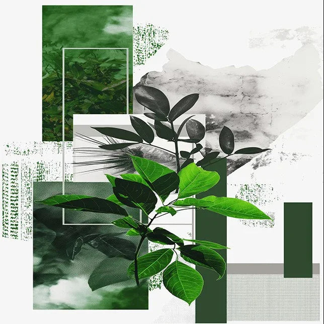 Geometric Botanical Contrast – Modern Leaf Collage Canvas Print - MyPhotoStation
