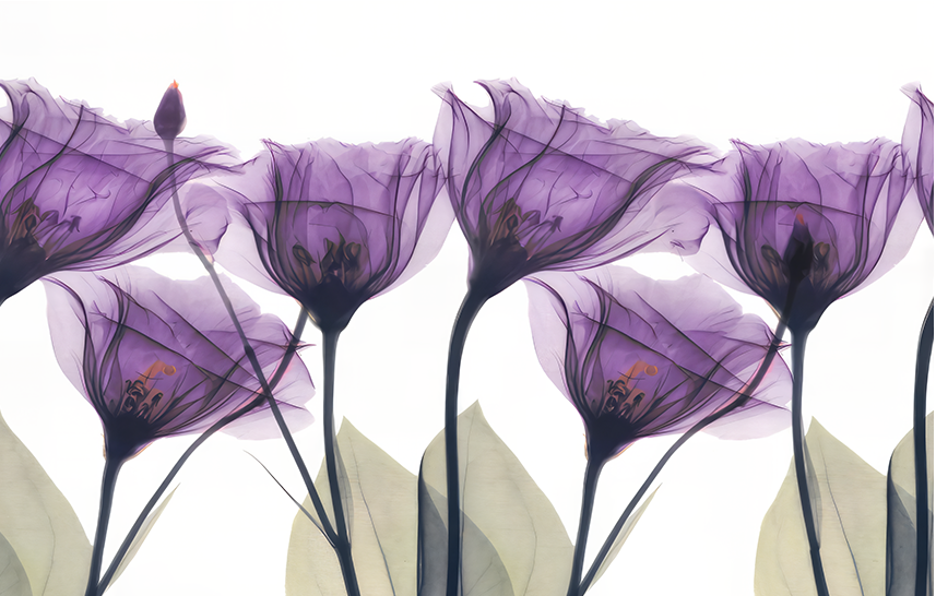 هروب الحمضيات في أمالفي – طباعة قماشية لبستان البرتقال المتوسطي