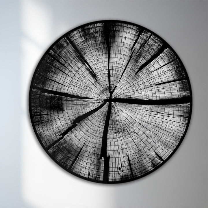 Radiating geometric elements highlight the stunning concentric rings and radial cracks in this monochrome tree ring oil painting art piece, a modern artful wood print.
