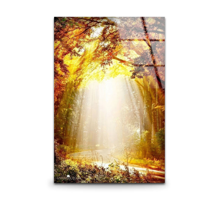 Golden Forest Sunbeam Wall Art – Radiant Nature Glass Print for Warm Home Decor - MyPhotoStation