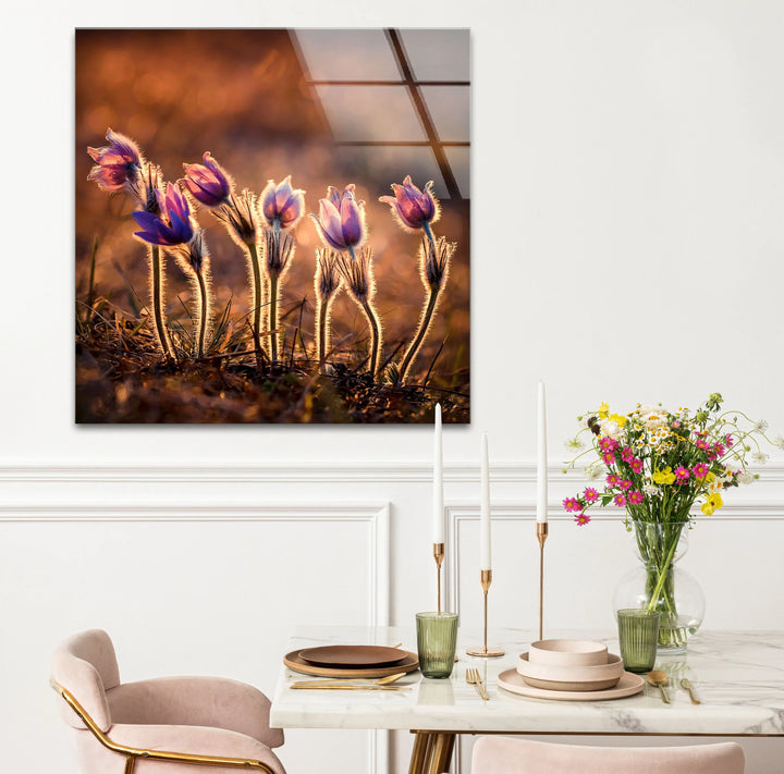 Sunlit Wildflower Wall Art – Purple Spring Bloom Glass Print with Golden Hour Glow for Cozy, Nature-Inspired Interiors - MyPhotoStation