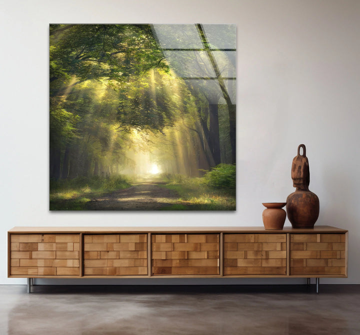 Forest Light Path Glass Wall Art – Serene Green Nature Print for Relaxing Decor - MyPhotoStation