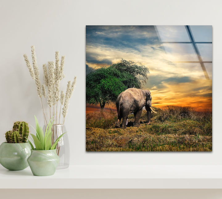 Elephant at Sunset Safari Wall Art – African Landscape Glass Print