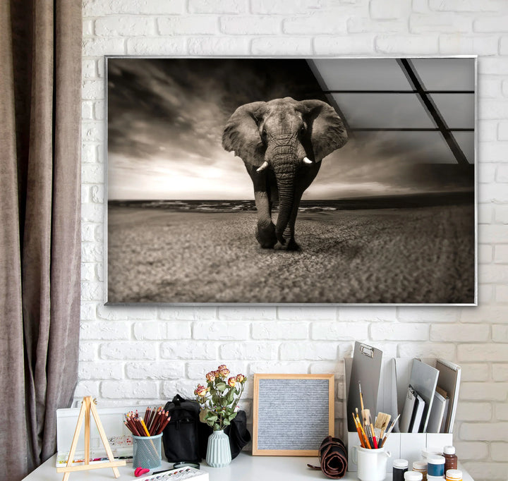 Majestic Elephant on the Beach Glass Wall Art – Black and White Animal Decor - MyPhotoStation