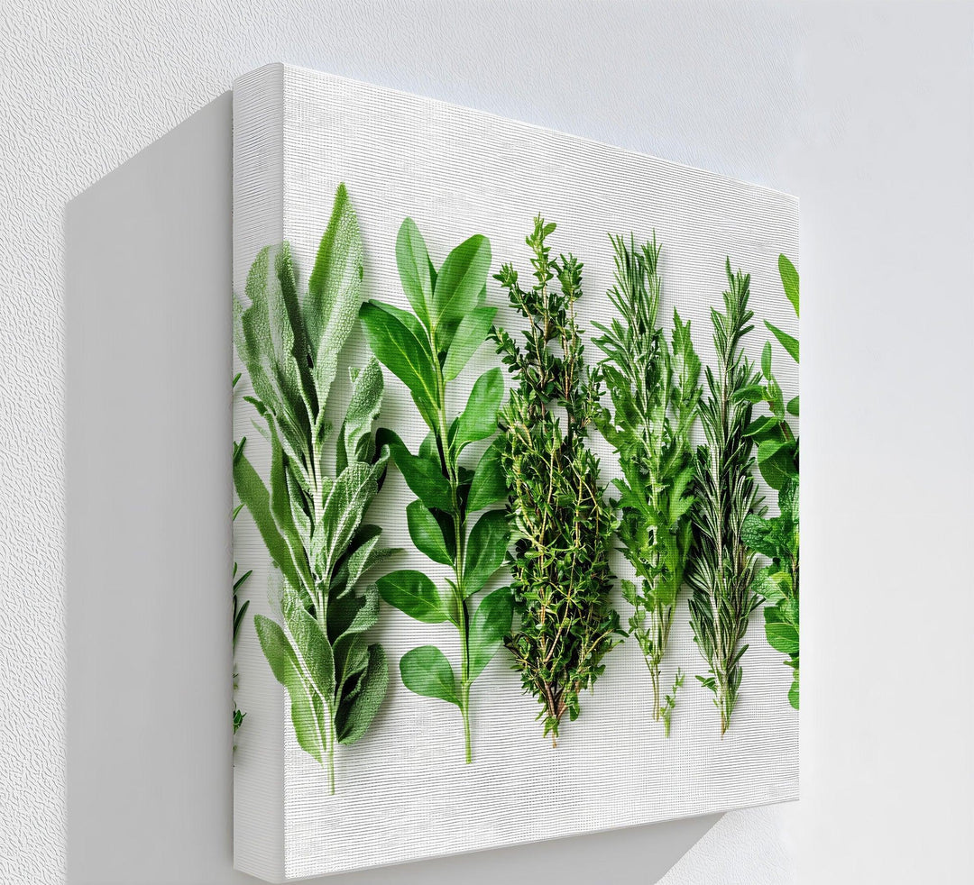 Fresh Herb Medley – Kitchen Canvas Prints - MyPhotoStation