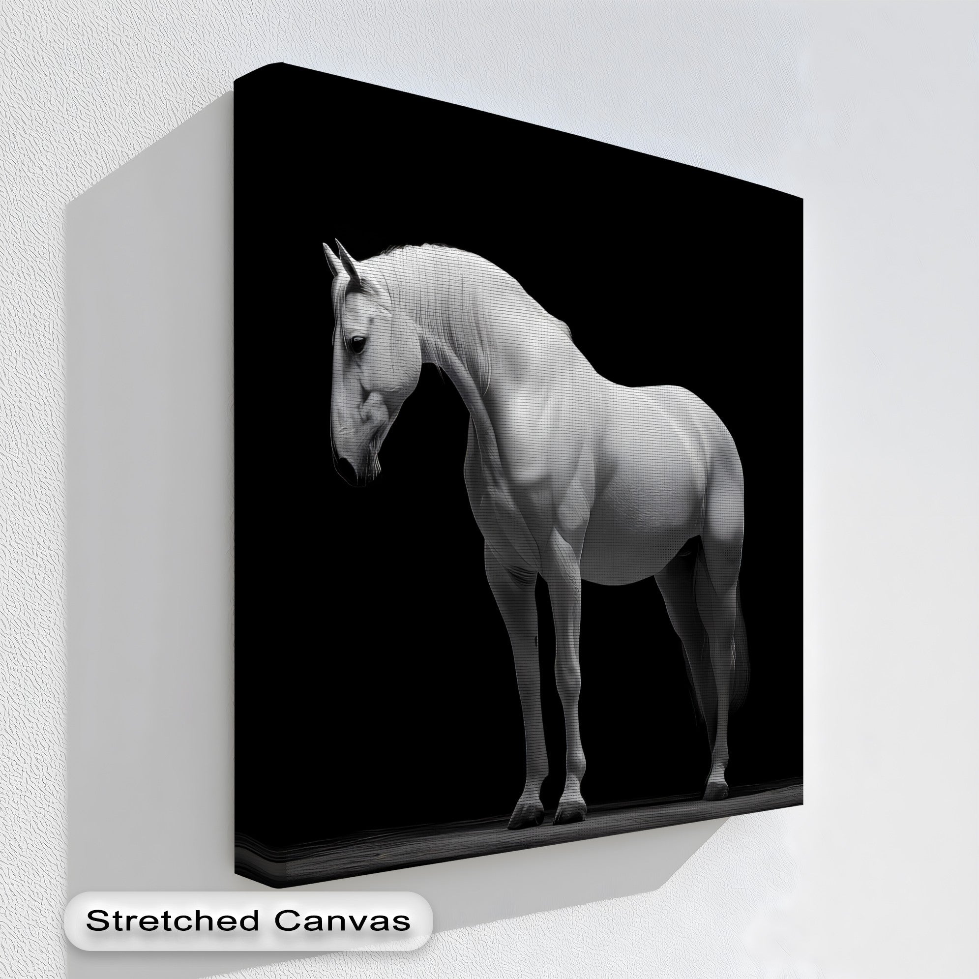 Graceful lines define the organic forms in this big canvas prints featuring a minimalist white horse against a stark black backdrop.
