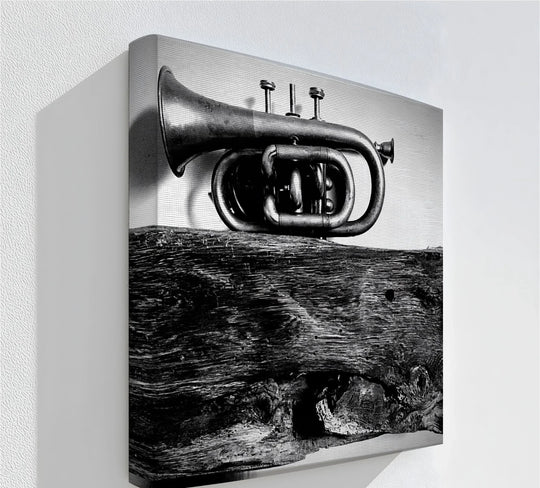 Rustic Trumpet Still Life – Black and White Vintage Music Canvas Prints - MyPhotoStation