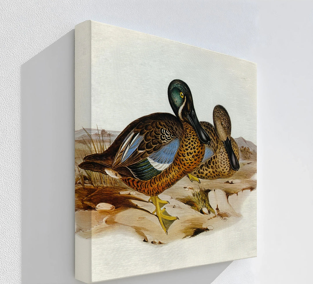 Marshland Companions – Vintage Duck Pair Animal Canvas Print - MyPhotoStation