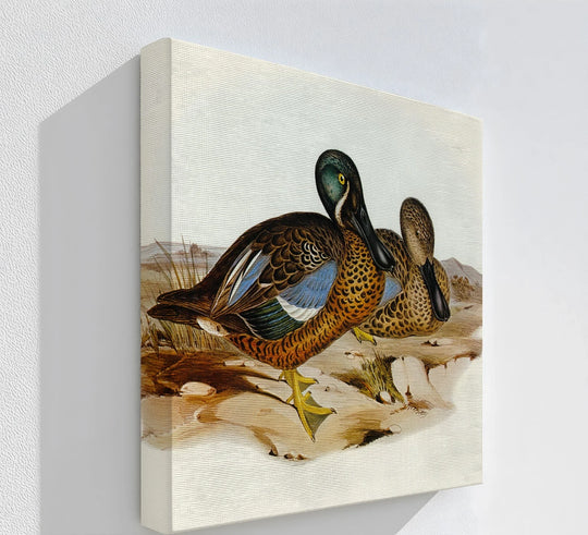 Subtle earth tones in the background complement the canvas painting of a vintage duck pair animal print, enhancing the rustic, marshland scene.