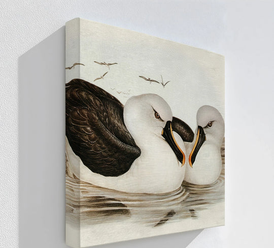 Abstract best canvas prints reveal a textural, vintage albatross pair in tranquil waters, transforming a classic animal print into a serene composition.
