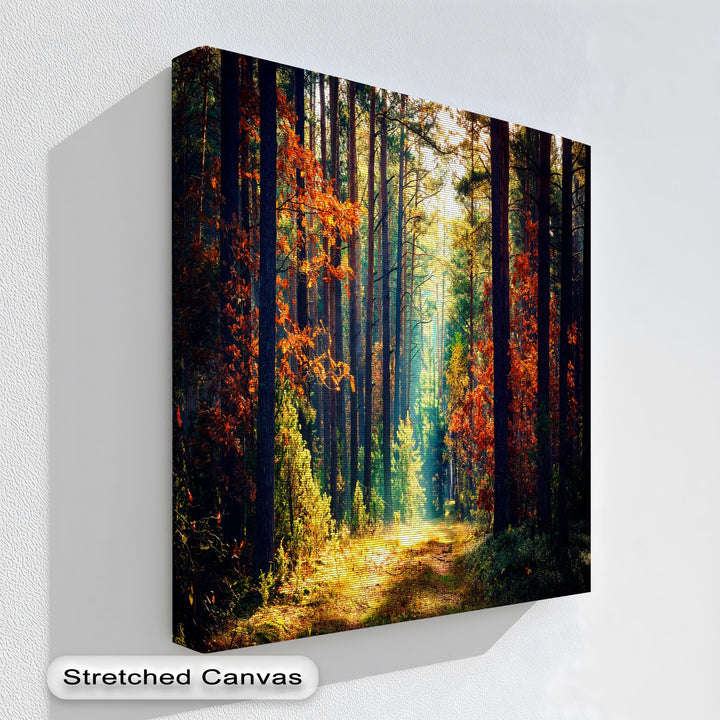 Vibrant orange and golden light beautifully illuminate a peaceful autumn forest path, presented as a captivating canvas art.