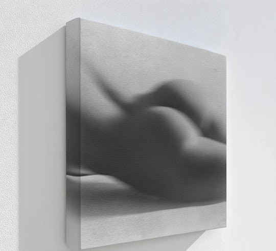 The subtle monochrome finish enhances this abstract canvas print, offering a textured look to the veiled form of these canvas pictures.