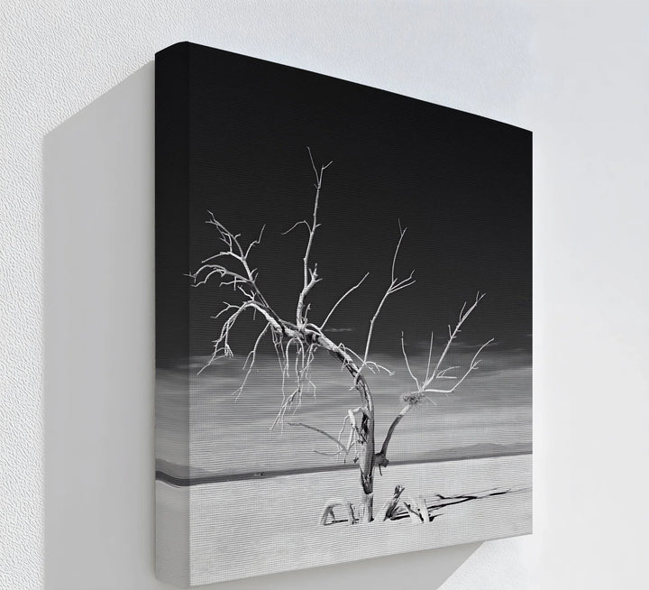 Desert Silence – minimalist black and white tree canvas print.

