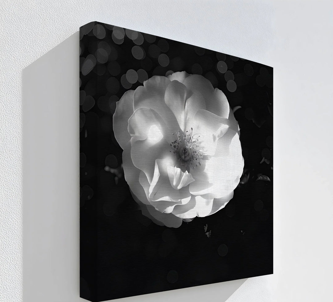 Ethereal Bloom – black and white floral canvas wall art.

