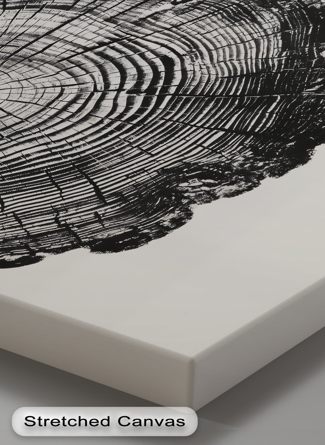 Revealing depth and layers, the monochrome tree ring canvas art showcases the minimalist wood grain texture through the artistic use of contrasting tones.