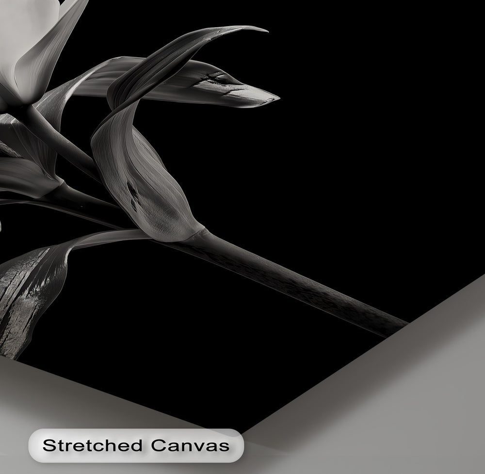 A symbol of purity and elegance, this canvas print captures a lily in stunning monochrome detail.

