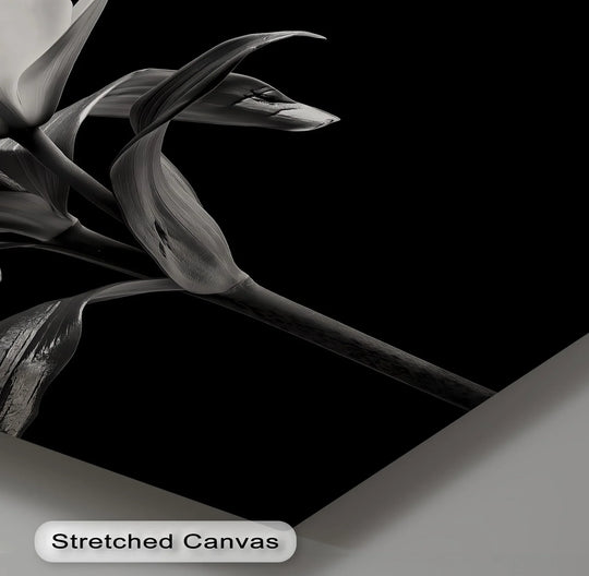 The stillness of the lily captured in these black and white canvas art prints allows the viewer to connect with the bloom's hushed beauty.