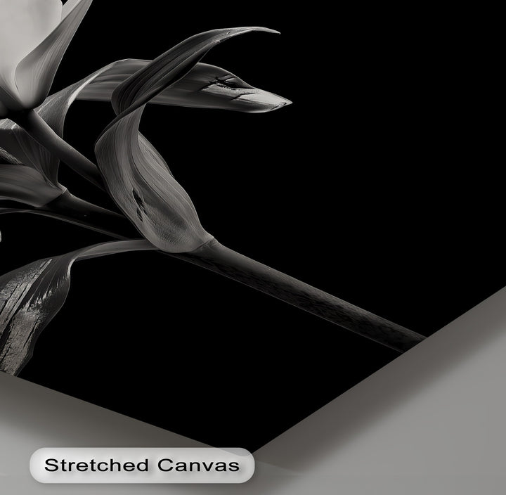 A symbol of purity and elegance, this canvas print captures a lily in stunning monochrome detail.

