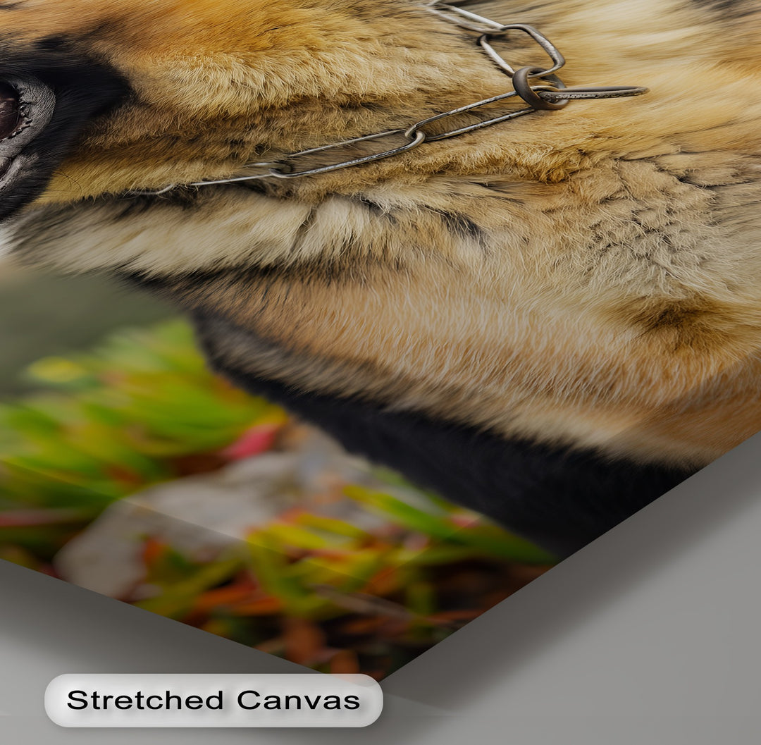 Loyal Guardian – German Shepherd Outdoor Portrait Puppies Canvas Print