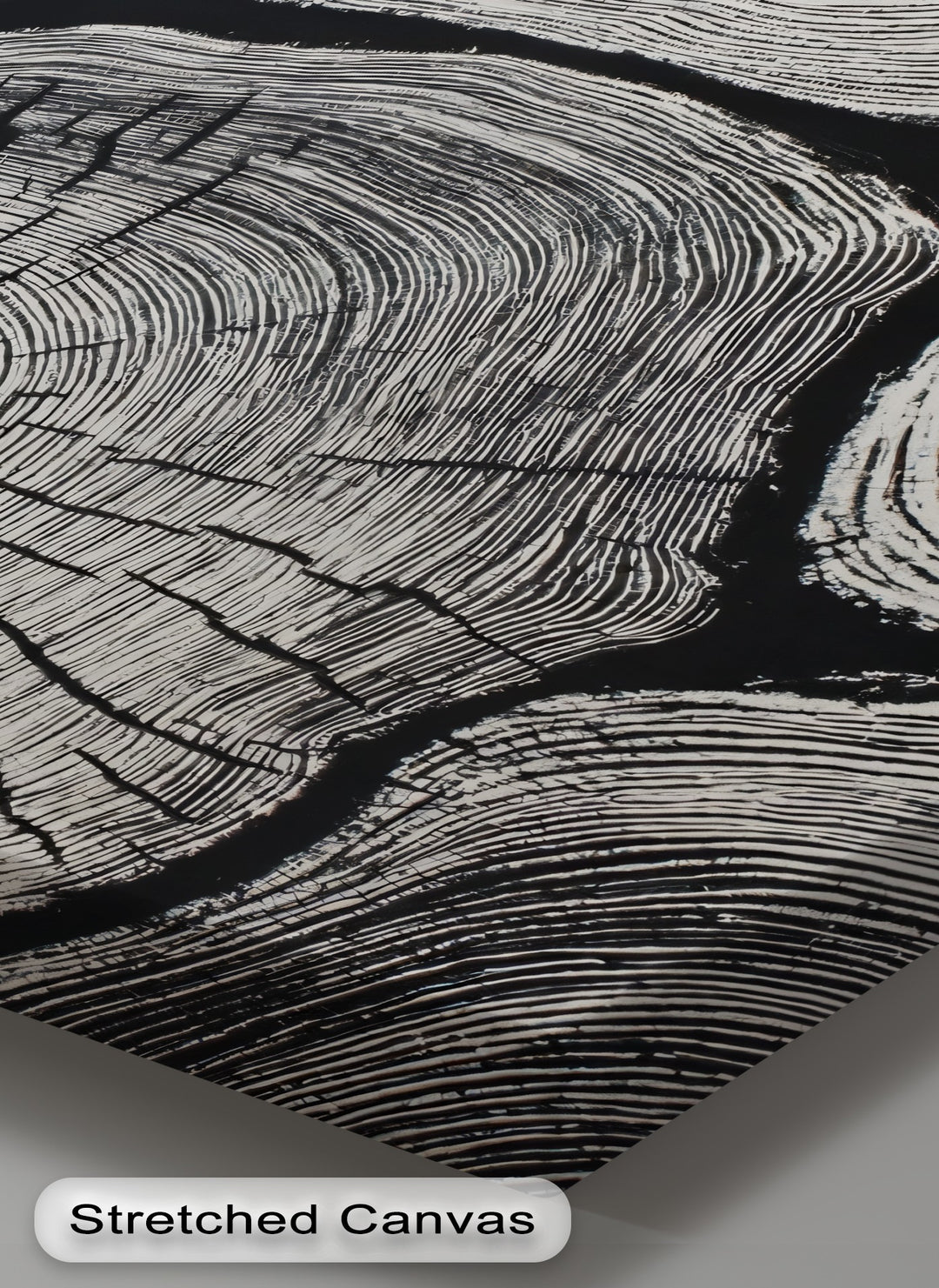 Enhanced color saturation accentuates the stark contrasts within this black and white wood texture canvas art, emphasizing the minimalist tree ring details.