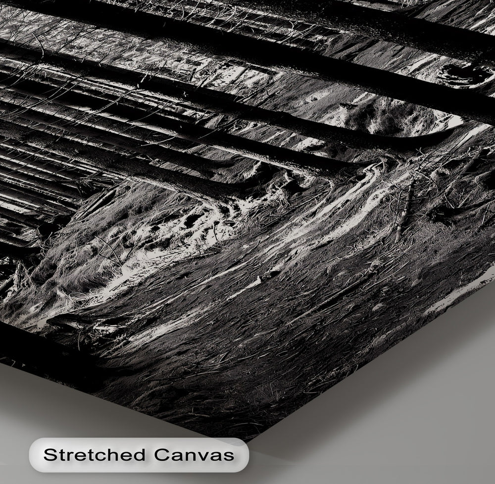 For nature lovers, this elegant canvas print captures the calm stillness of woodland trees.

