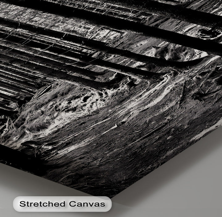 For nature lovers, this elegant canvas print captures the calm stillness of woodland trees.


