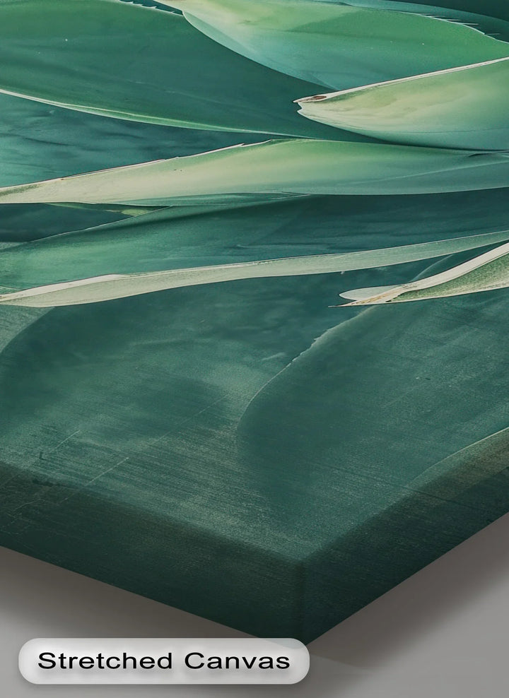 Agave Serenity – Succulent Plant Close-Up Canvas Print - MyPhotoStation