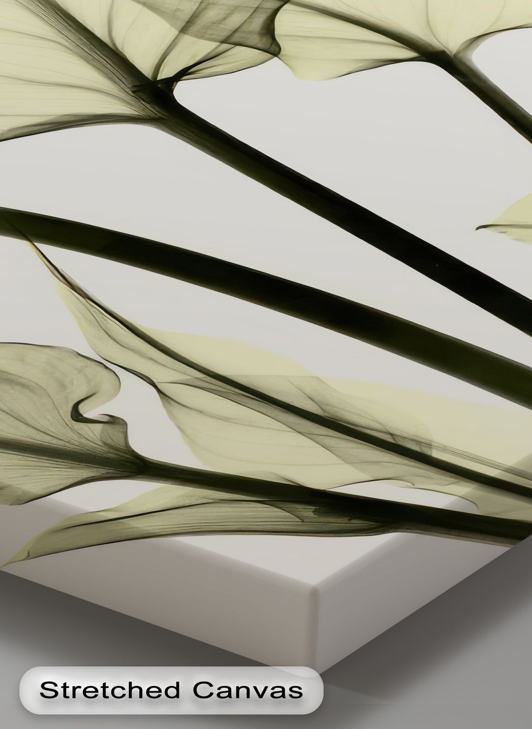 Soft Calla Grace – Minimalist Botanical Canvas Print