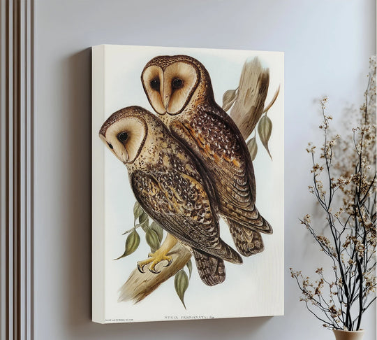 Repetitive plumage patterns on this vintage barn owls illustration create a captivating visual rhythm, enhancing the appeal of this framed canvas print.