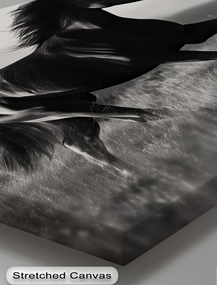 Midnight Gallop – Black Horse in Motion Canvas Print