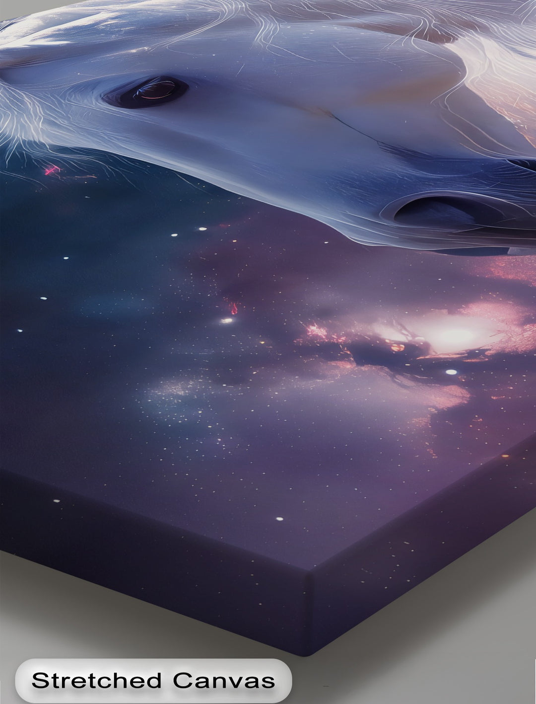 Starlit Grace – Celestial White Horse Portrait Canvas Print