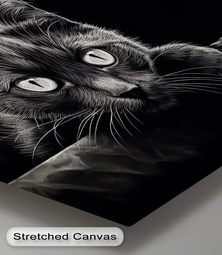 Midnight Gaze – Black Cat in Monochrome Shadow Cat Canvas Print - MyPhotoStation