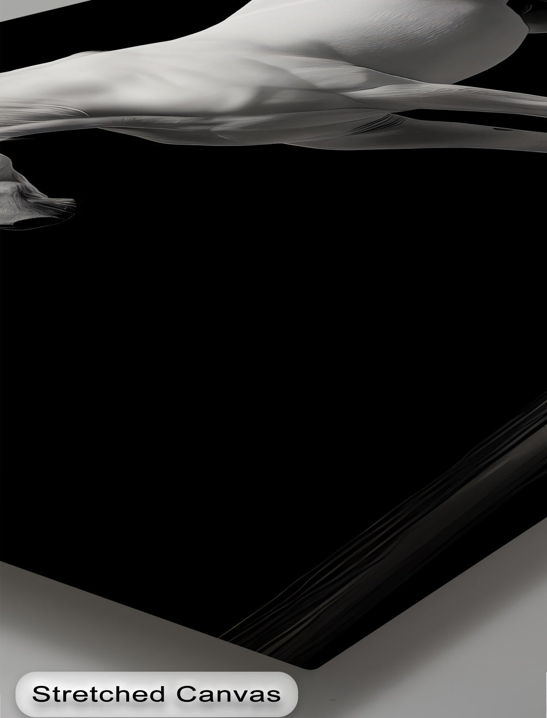 White Horse on Black Background Minimalist - Horse Canvas Print