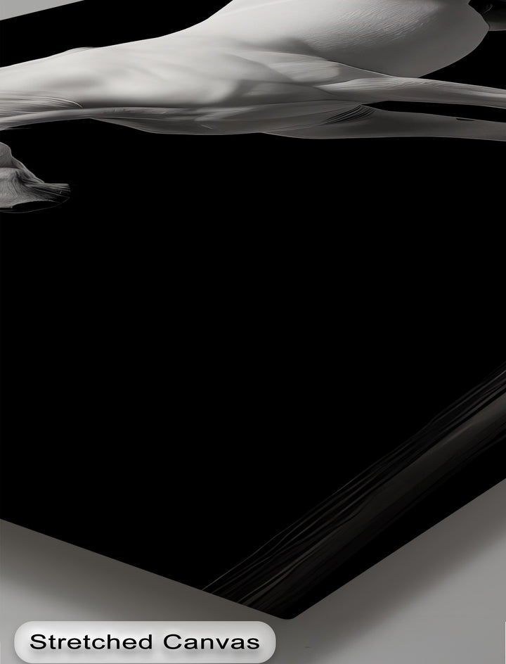 White Horse on Black Background Minimalist - Horse Canvas Print