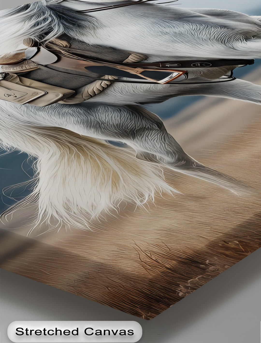 Gallop in the Mist – White Horse with Saddle Canvas Print