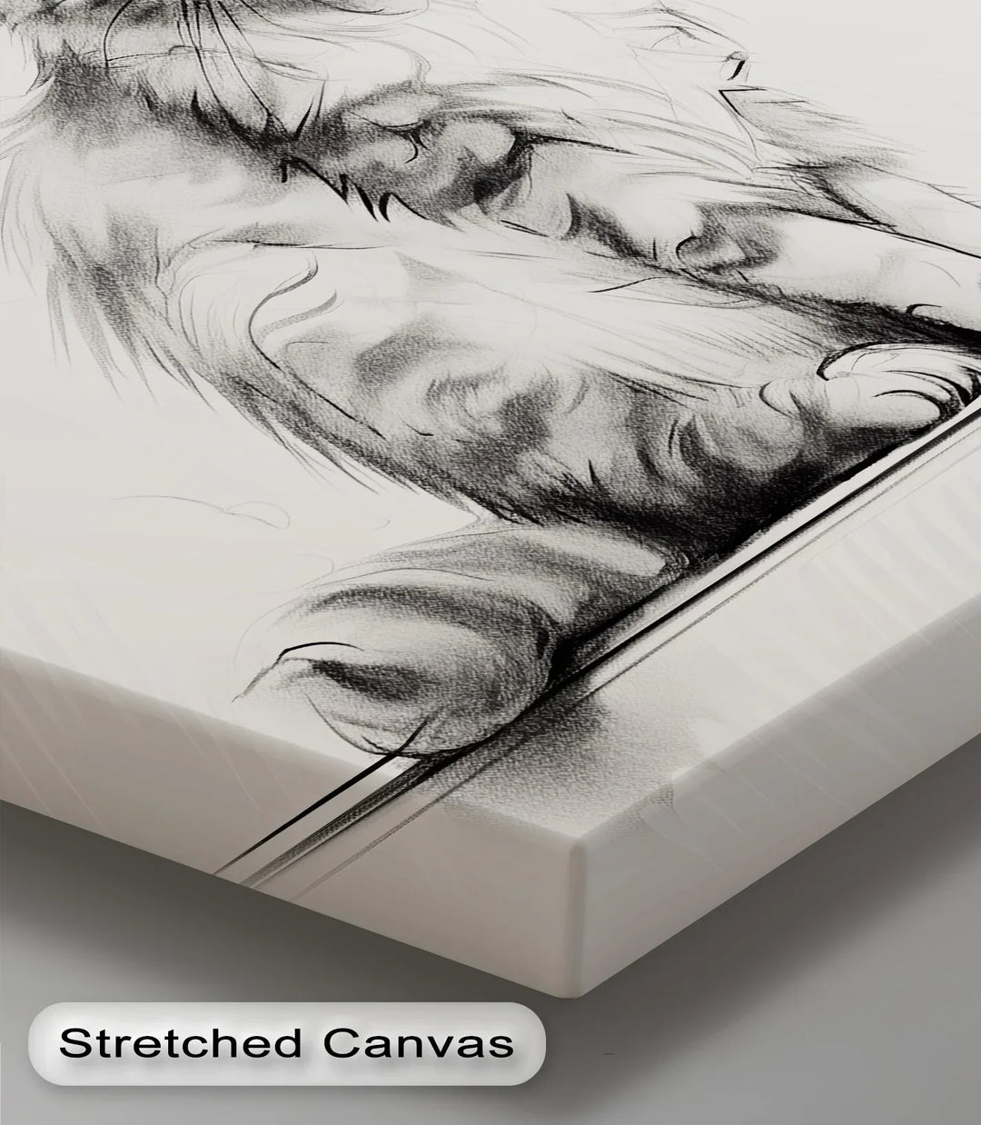 Whiskered Innocence – Fluffy Kitten Pencil Sketch Cat Canvas Print - MyPhotoStation