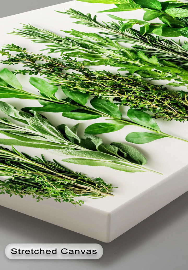 Fresh Herb Medley – Kitchen Canvas Prints - MyPhotoStation