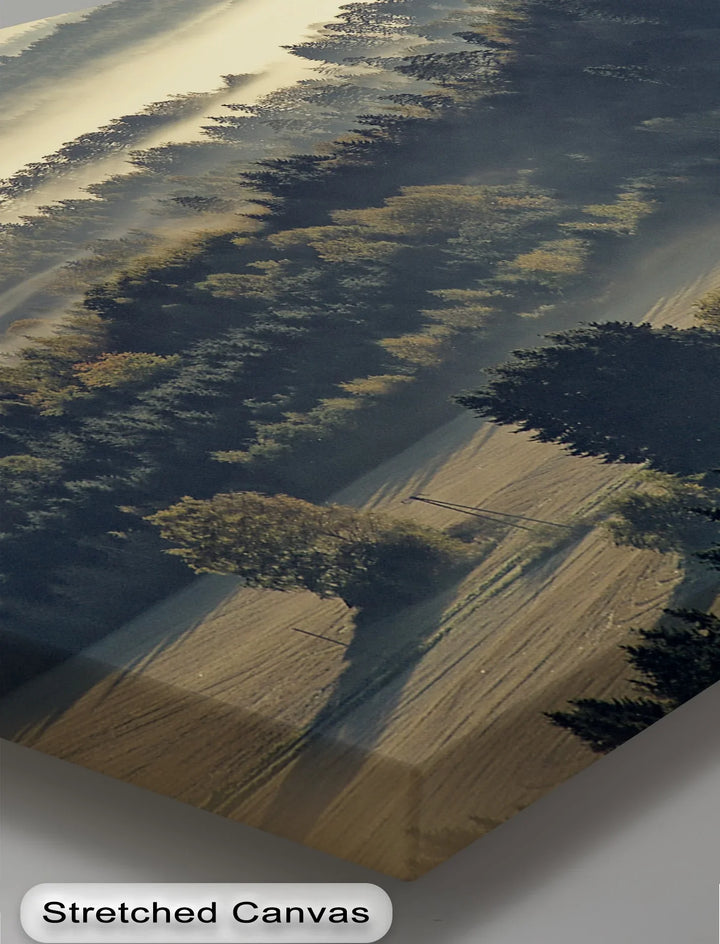 Atmospheric pine forest misty landscape poster

