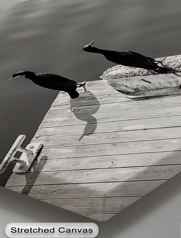 Sea Watchers – artistic bird photography wall print.

