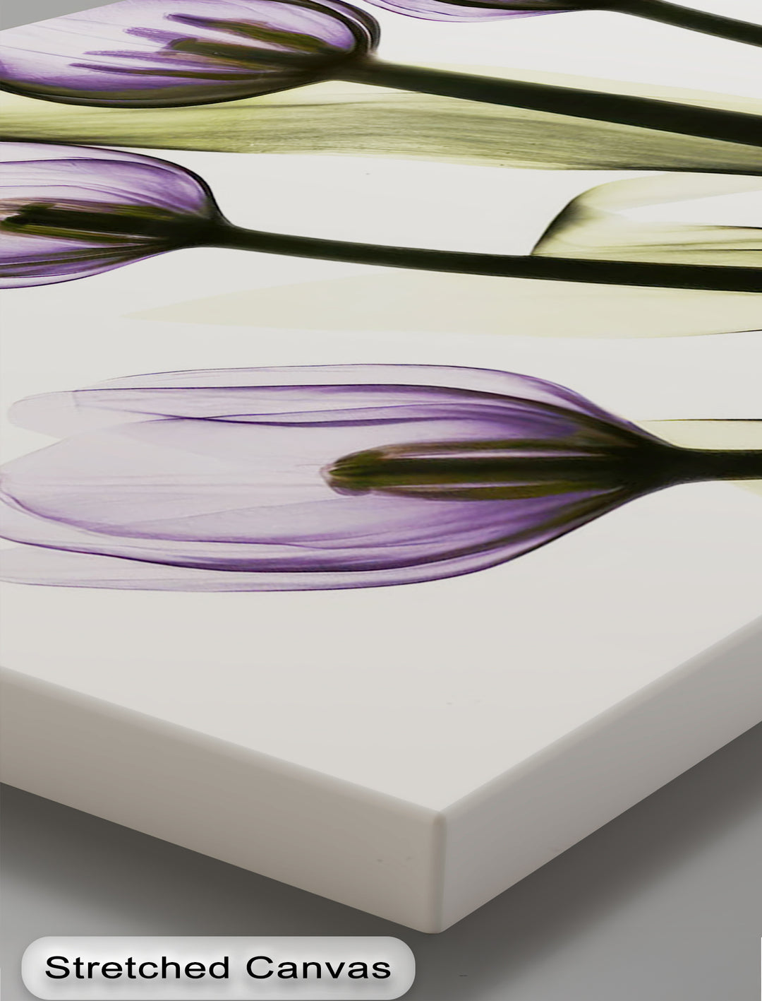 هروب الحمضيات في أمالفي – طباعة قماشية لبستان البرتقال المتوسطي