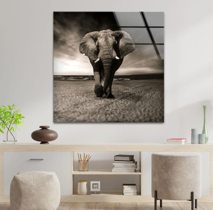 Majestic Elephant on the Beach Glass Wall Art – Black and White Animal Decor - MyPhotoStation