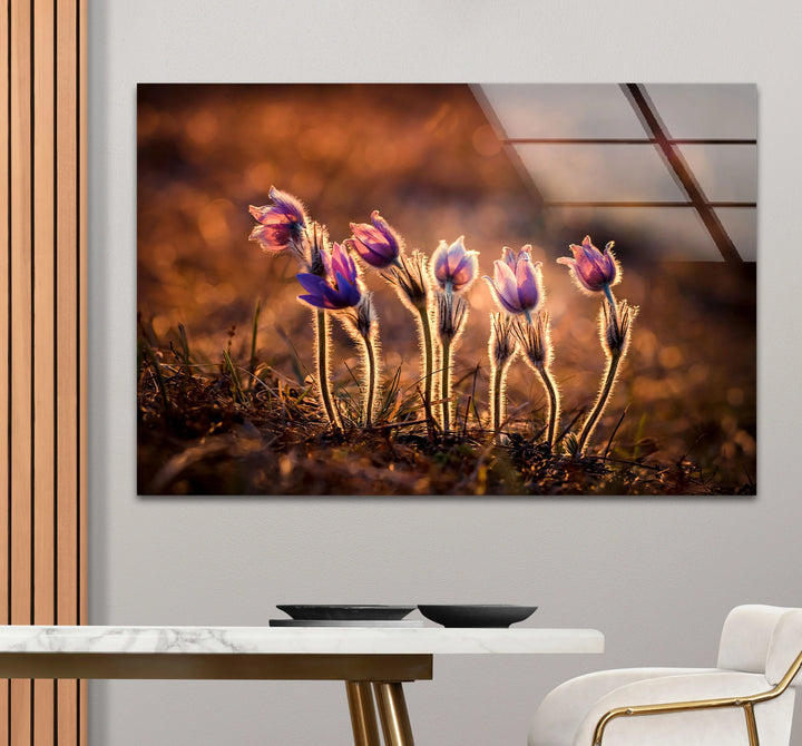 Sunlit Wildflower Wall Art – Purple Spring Bloom Glass Print with Golden Hour Glow for Cozy, Nature-Inspired Interiors - MyPhotoStation