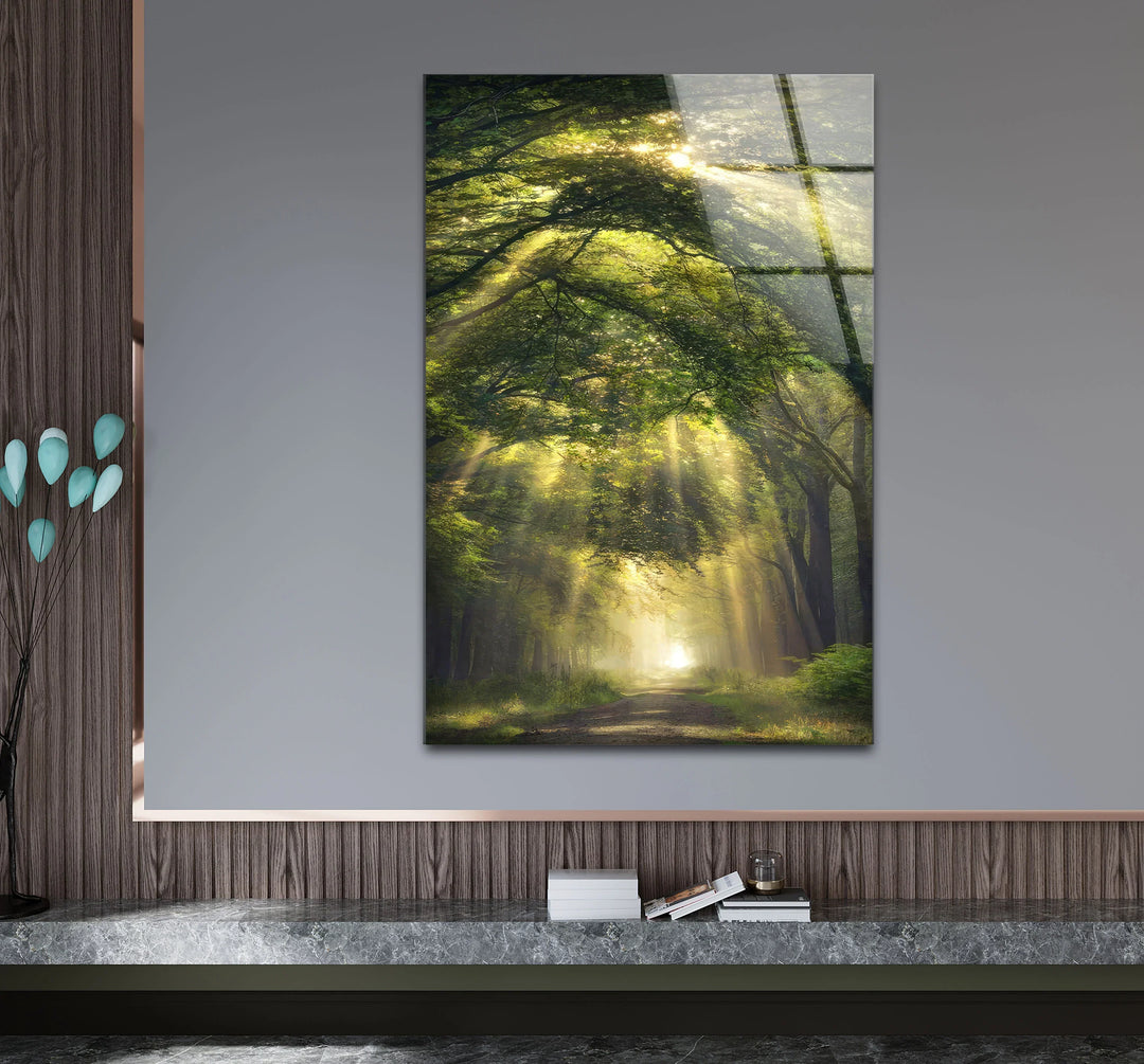 Forest Light Path Glass Wall Art – Serene Green Nature Print for Relaxing Decor - MyPhotoStation