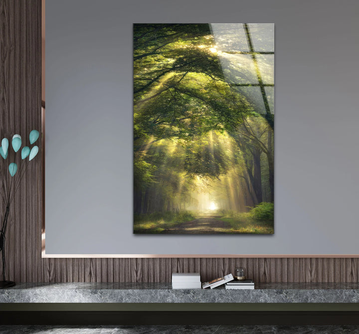 Forest Light Path Glass Wall Art – Serene Green Nature Print for Relaxing Decor - MyPhotoStation