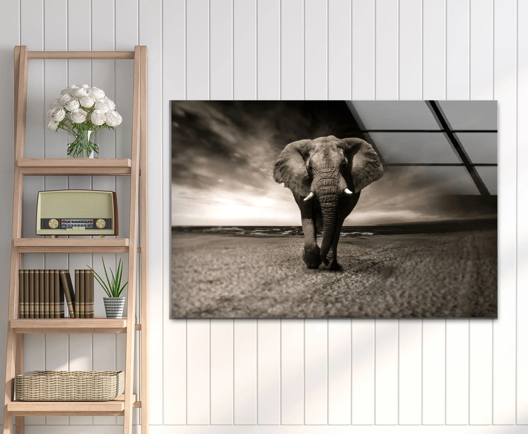 Majestic Elephant on the Beach Glass Wall Art – Black and White Animal Decor - MyPhotoStation