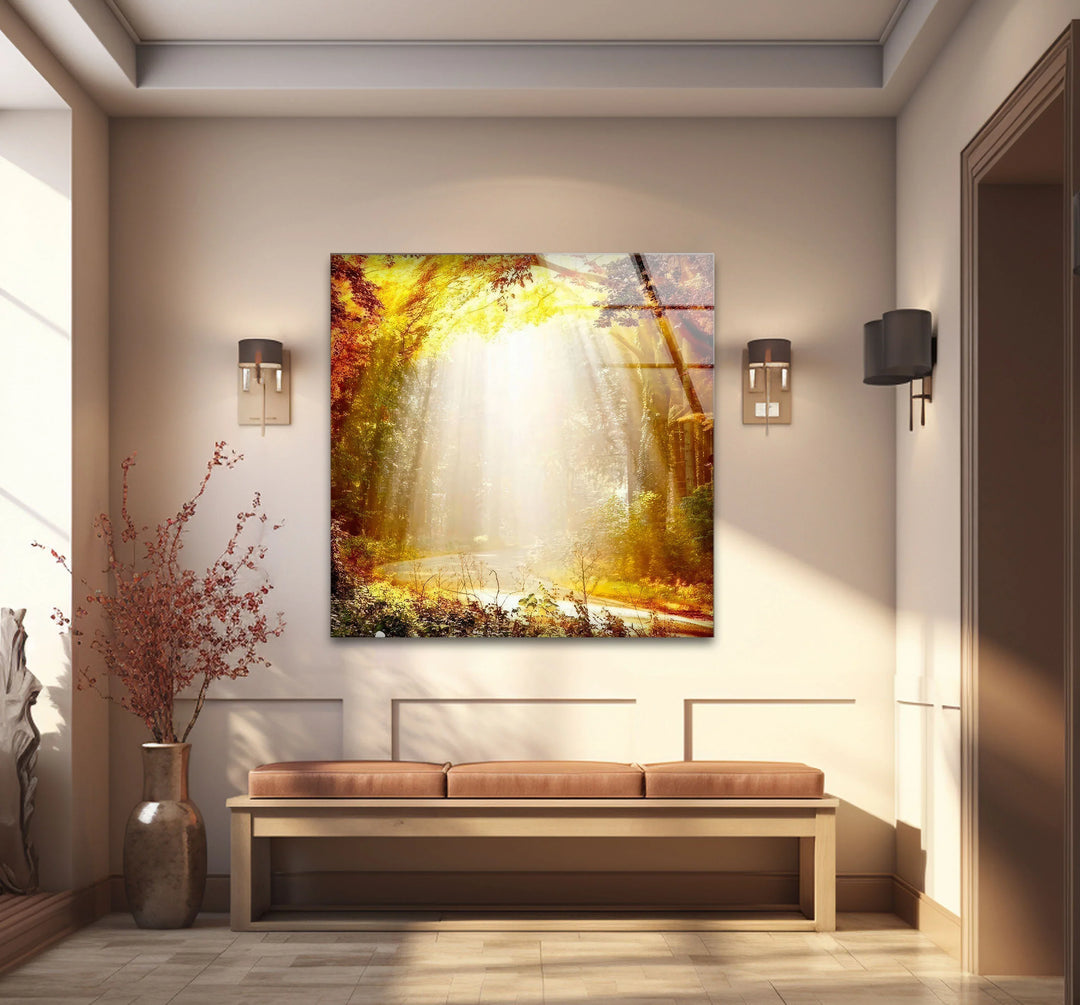 Golden Forest Sunbeam Wall Art – Radiant Nature Glass Print for Warm Home Decor - MyPhotoStation