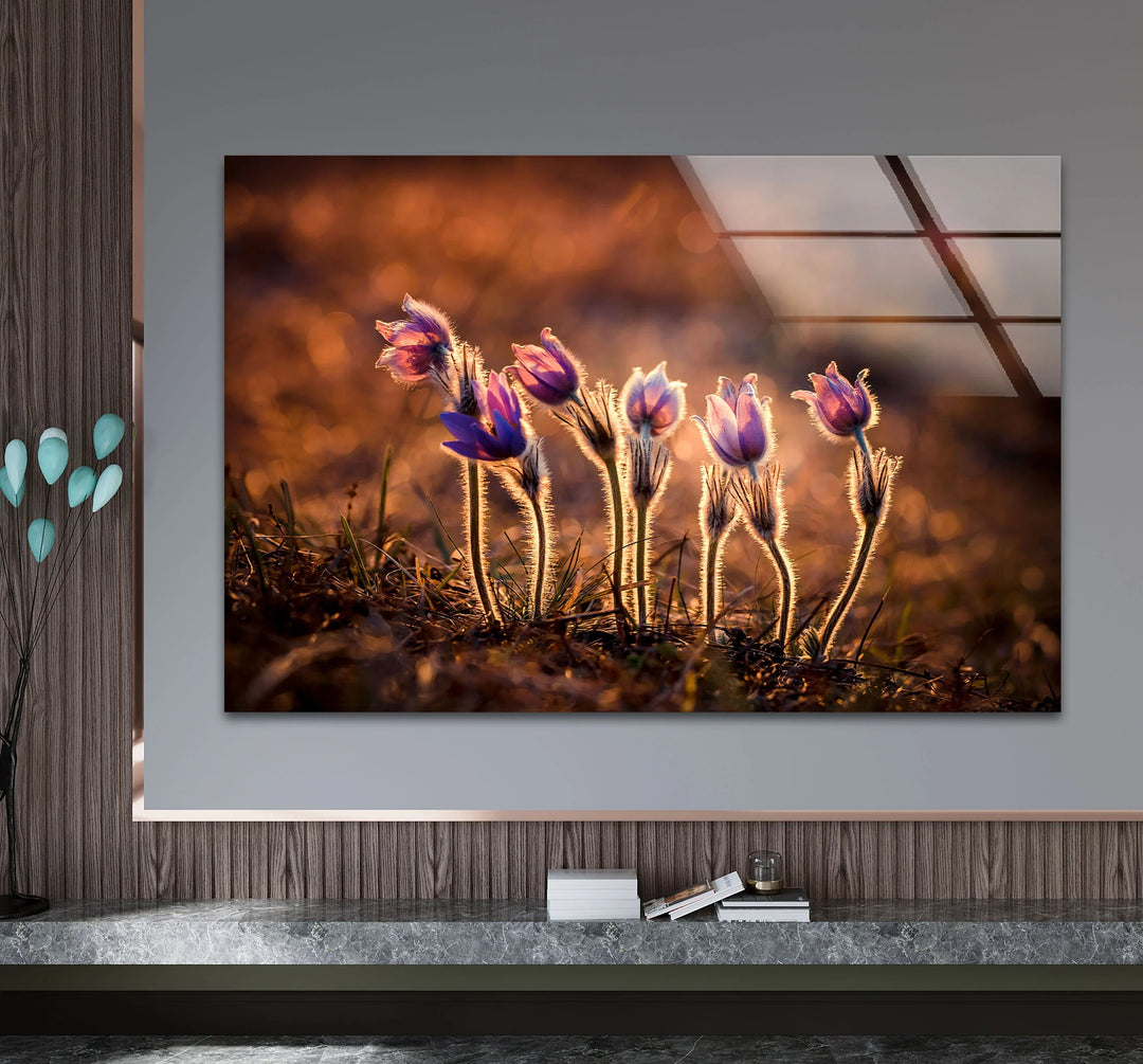 Sunlit Wildflower Wall Art – Purple Spring Bloom Glass Print with Golden Hour Glow for Cozy, Nature-Inspired Interiors - MyPhotoStation