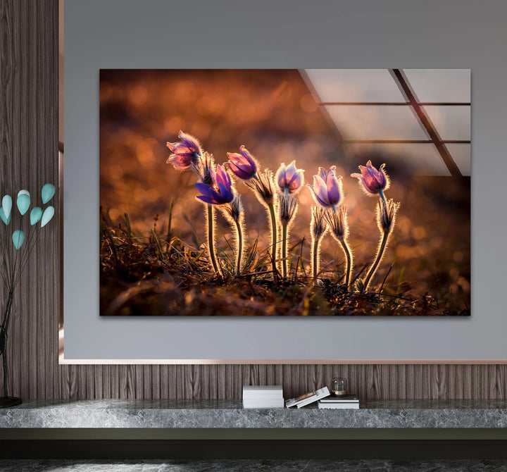 Sunlit Wildflower Wall Art – Purple Spring Bloom Glass Print with Golden Hour Glow for Cozy, Nature-Inspired Interiors - MyPhotoStation