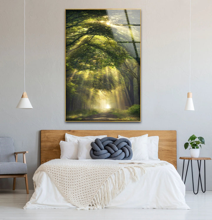 Forest Light Path Glass Wall Art – Serene Green Nature Print for Relaxing Decor - MyPhotoStation
